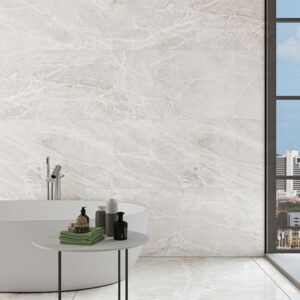 BRASILIA 60x120